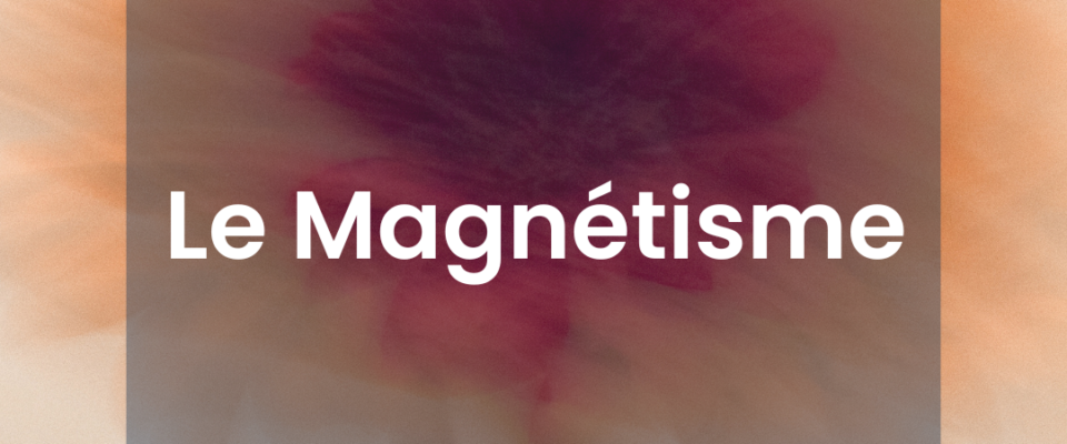 Magnétisme Nantes