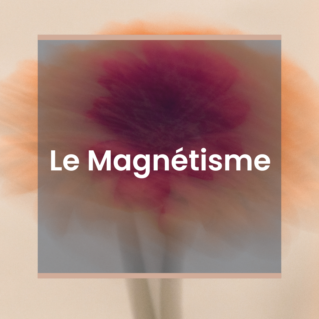 Magnétisme Nantes