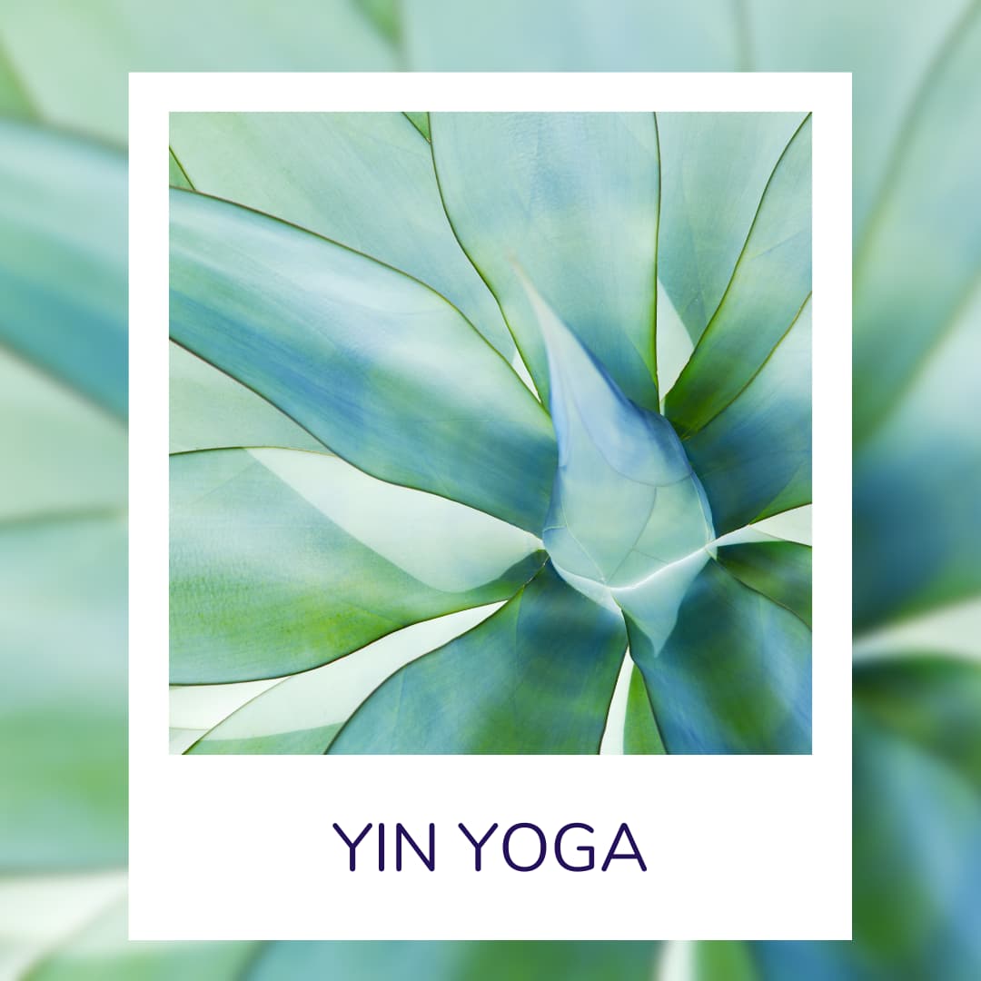 yin yoga nantes