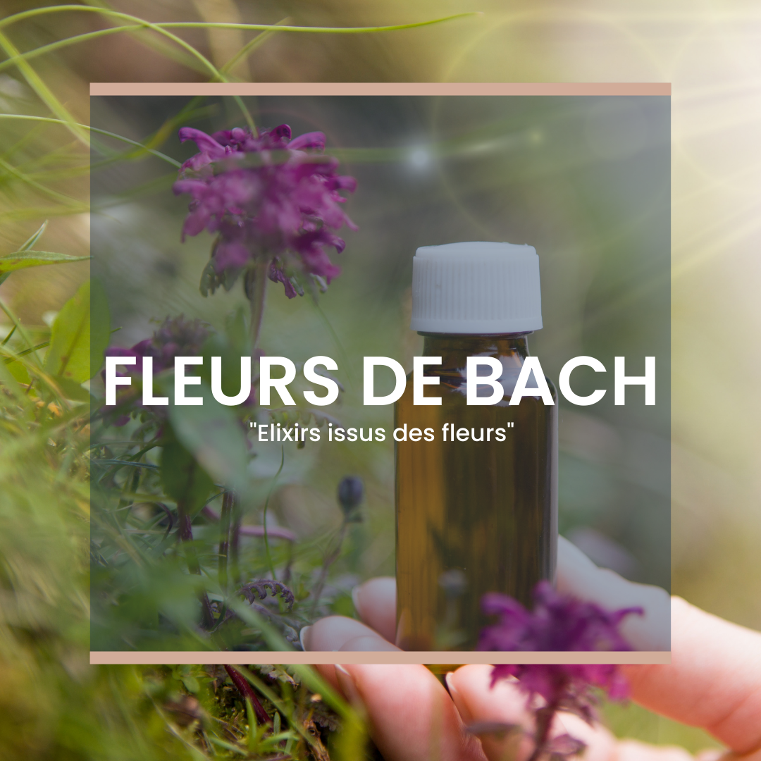 Fleurs de Bach Nantes